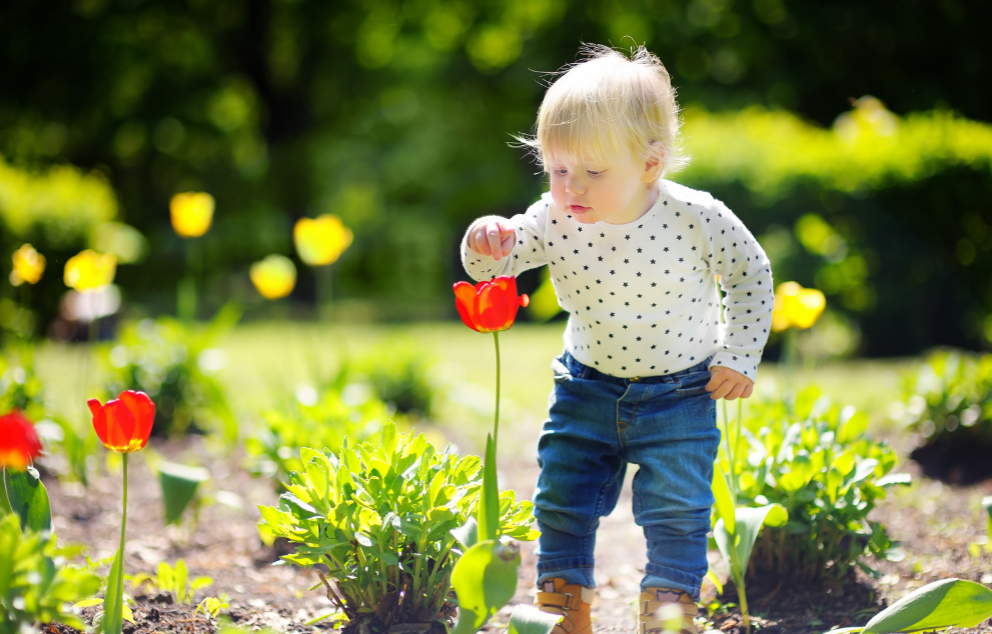 Jardiner avec vos enfants : conseils et activités